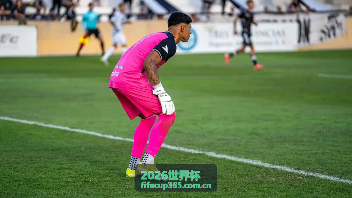 2026世界杯票务信息与球迷攻略